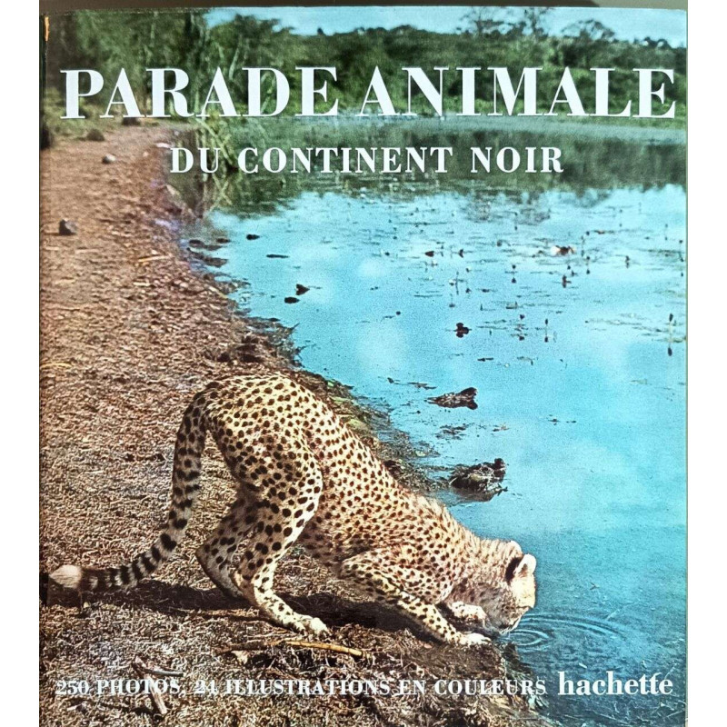 Parade animale du continent noir