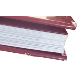 Napoléon par les peintres