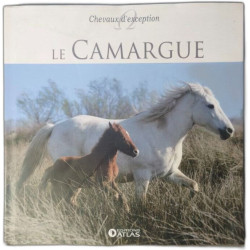 Le Camargue
