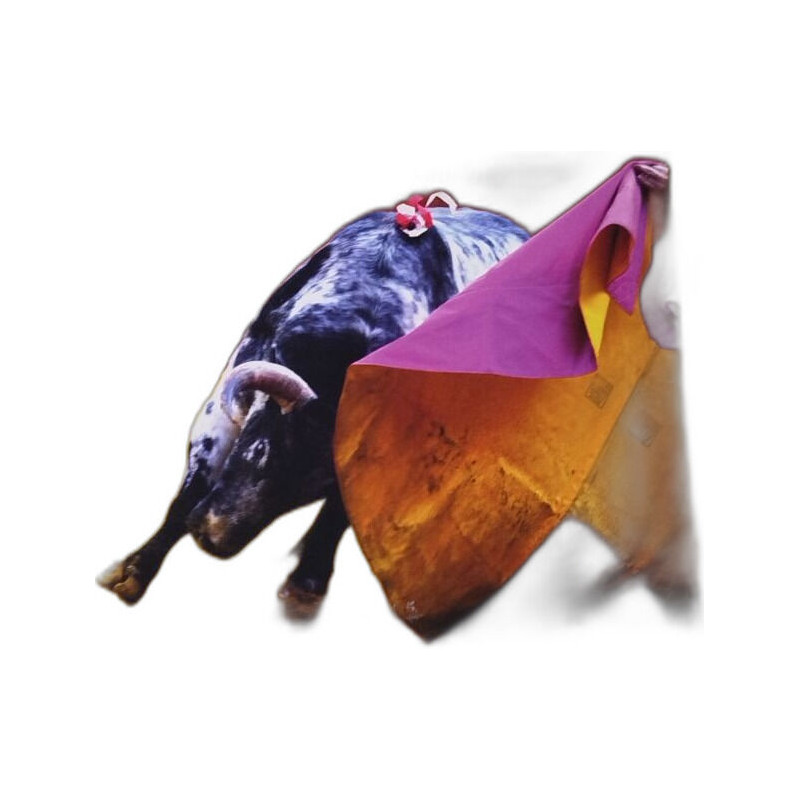 Del toro a la bravura ( livre en langue espagnole )