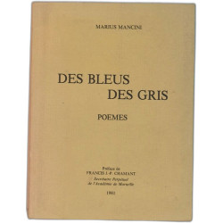 Des bleus des gris - poèmes