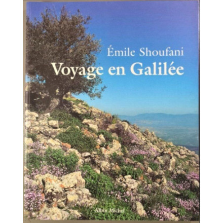 Voyage En Galilee