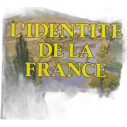 L'Identité de la France espace et histoire