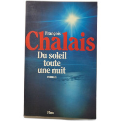 Du soleil toute une nuit / roman
