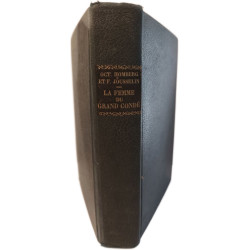 La femme du grand condé claire-clemence de maillé-breze princesse...