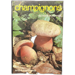 Champignons du nord et du Midi Tome 3- Bolétales et Aphyllophorales