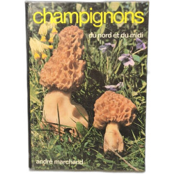 Champignons du Nord et du Midi tome 2 Les meilleurs comestibles