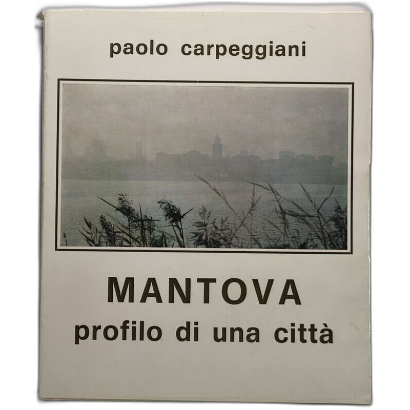 MANTOVA profilo di una città