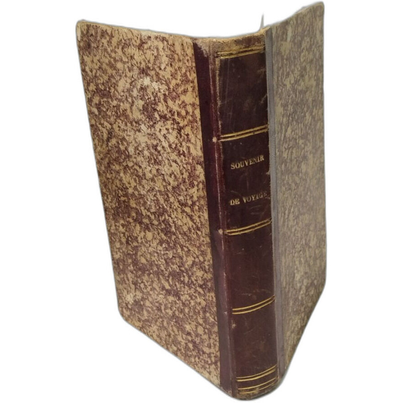 Souvenirs de voyages par le Vte walsh