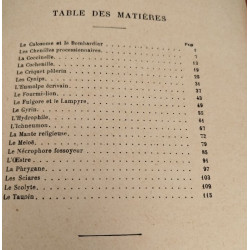 Les Insectes Savants