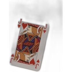 De l'autre côté du miroir : La symétrie en mathématiques