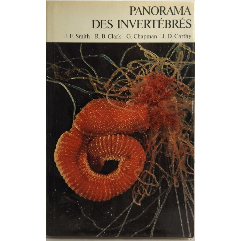 Panorama des invertébrés