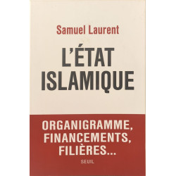 L'Etat islamique roganigramme financements filières