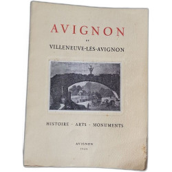 Avignon et Villeneuve lès Avignon - Histoire - Arts - Monuments