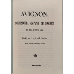Avignon son histoire ses papes ses monumens et ses environs