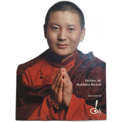 Ma voix pour la liberté - préface de matthieu ricard