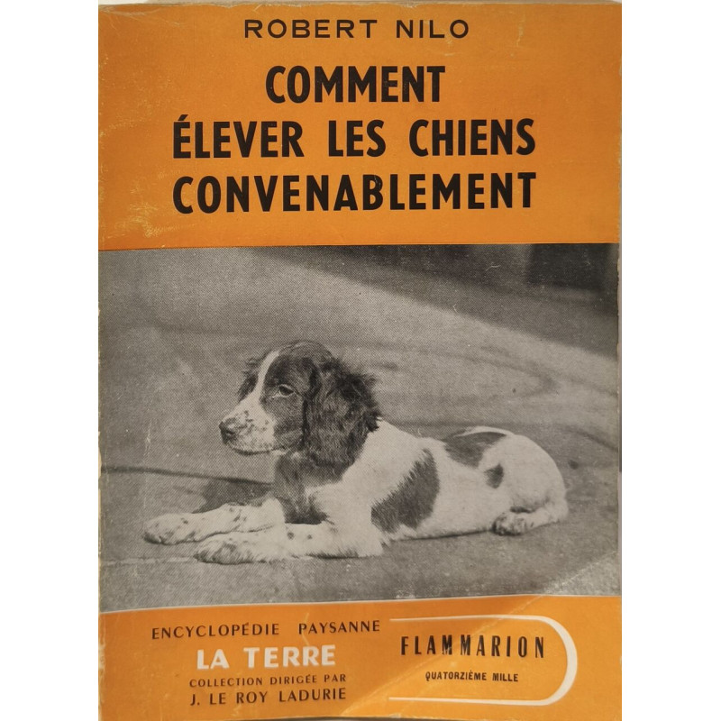 Comment élever les chiens convenablement