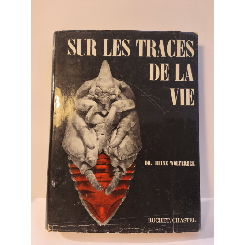 Sur les traces de la vie