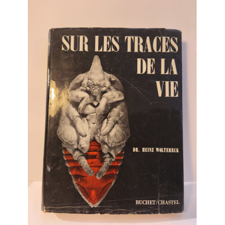 Sur les traces de la vie