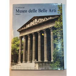 Le collezioni del Museo delle Belle Arti