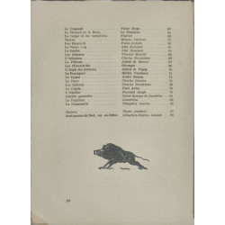 L'Arche de Noé - 51 illustrations originales au pinceau de vaé...