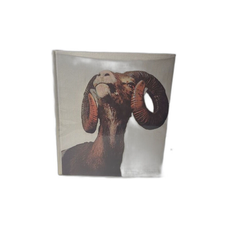 Les animaux sauvages d'Europe