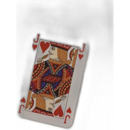 De l'autre côté du miroir : La symétrie en mathématiques