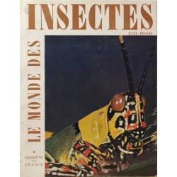 Insectes