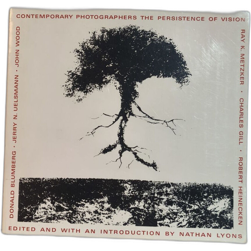 The Persistence of Vision