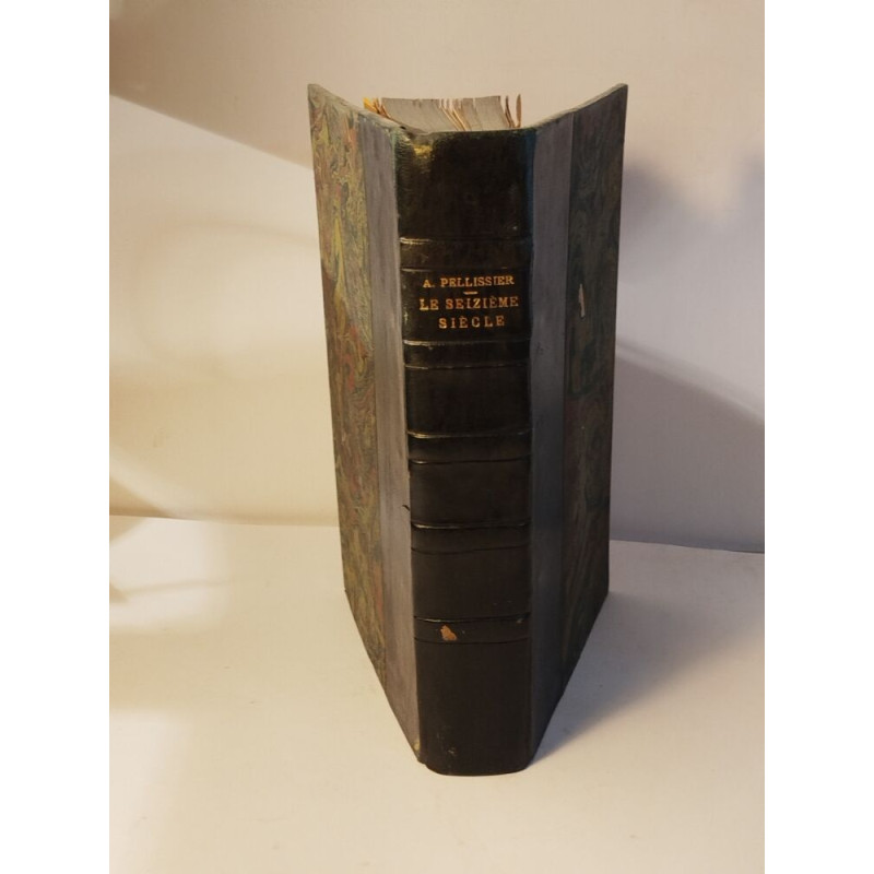 Le seizième siècle : Dix essais anecdotiques sur la Renaissance et...