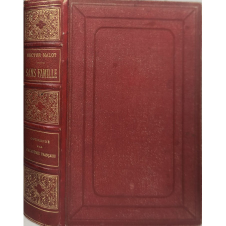 Sans Famille dessins par E. Bayard