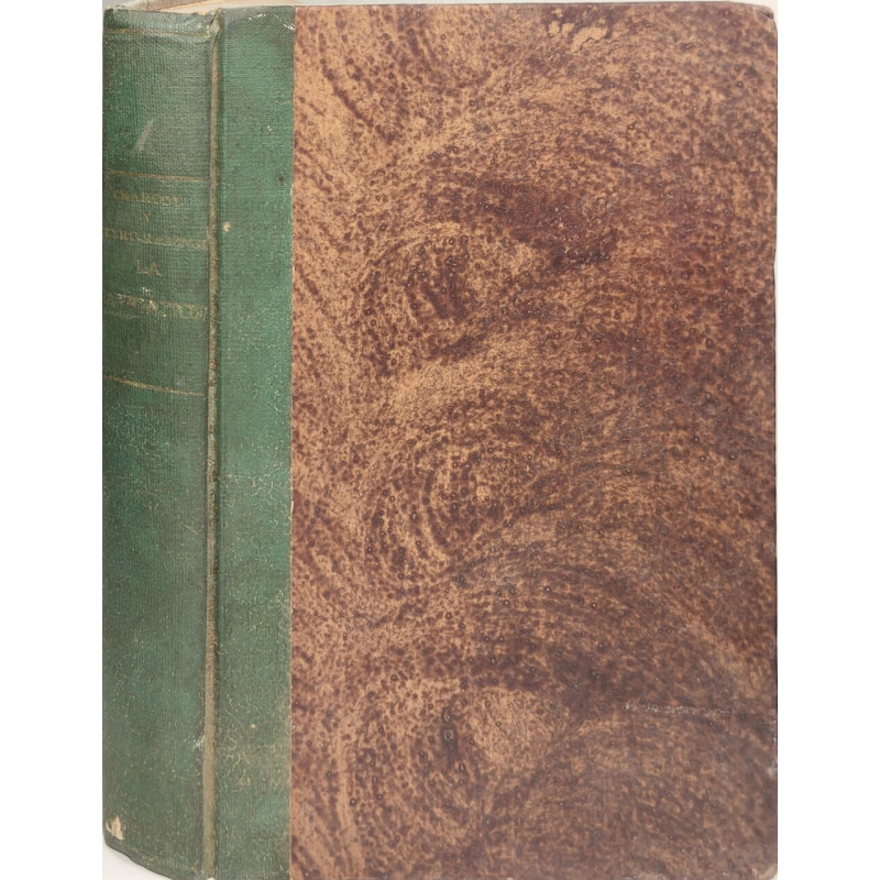 Théorie de l'expression dans les beaux-arts