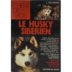 Le husky sibérien