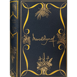 La priere aux etoiles / illustrations de francois bouche