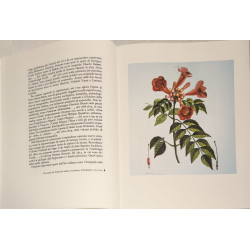 L'Esopo: rivista trimestrale di bibliofilia N°15 Sttembre 1982