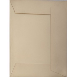 La peinture asiatique : son histoire et ses merveilles ( beaucoup...