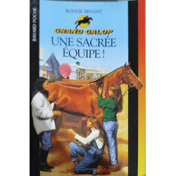 Une sacrée équipe
