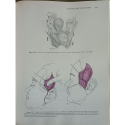 Aesthetic plastic surgery / volume II / illustrations by Daisy...