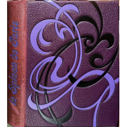 Le Spleen de Paris / litographies en couleurs de michèle battut...