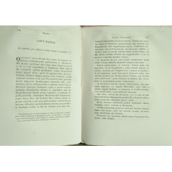 Concilium Provinciae Avinionensis Avinione habitum