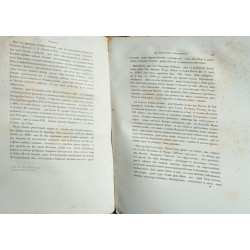 Concilium Provinciae Avinionensis Avinione habitum