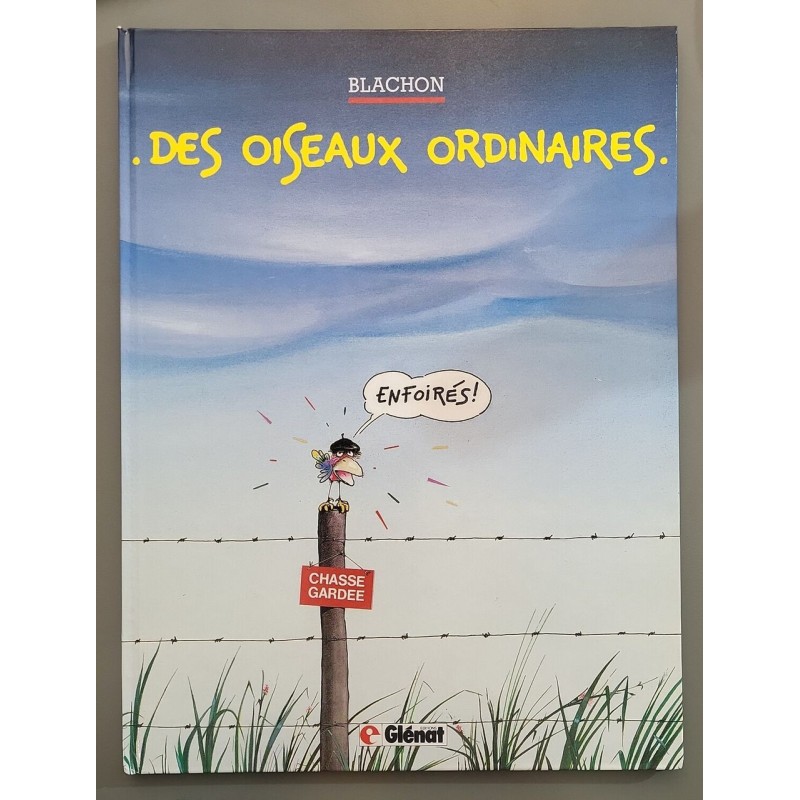 Des oiseaux ordinaires