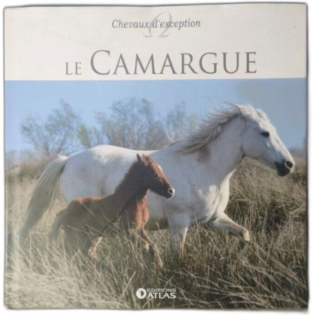 Le Camargue