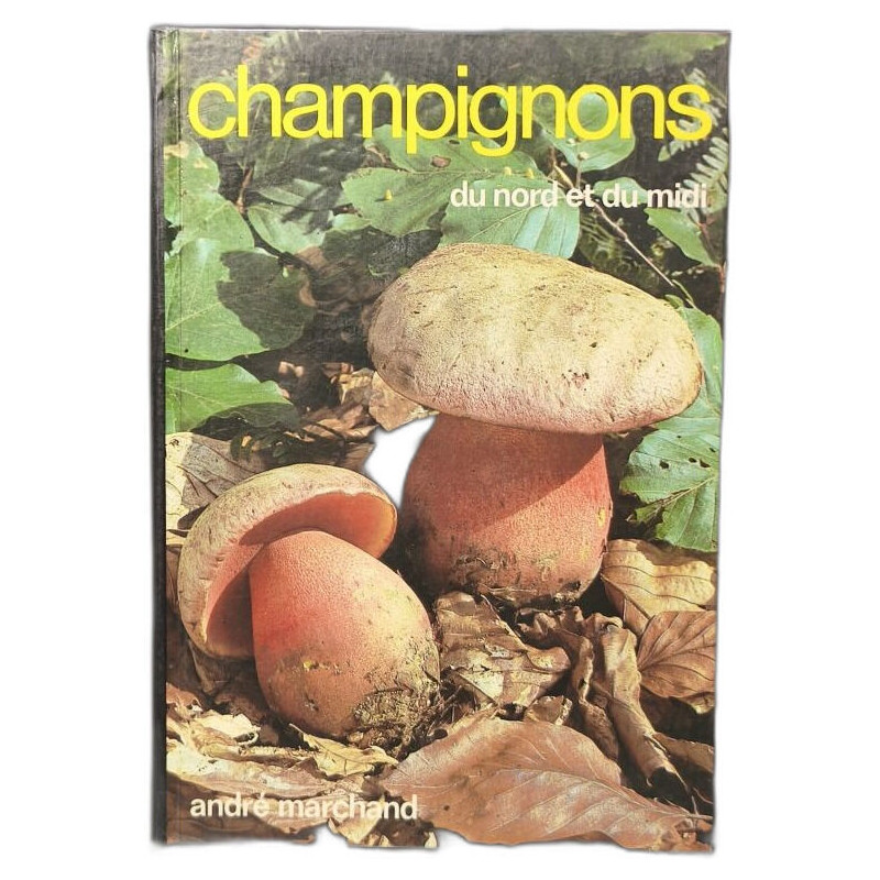 Champignons du nord et du Midi Tome 3- Bolétales et Aphyllophorales