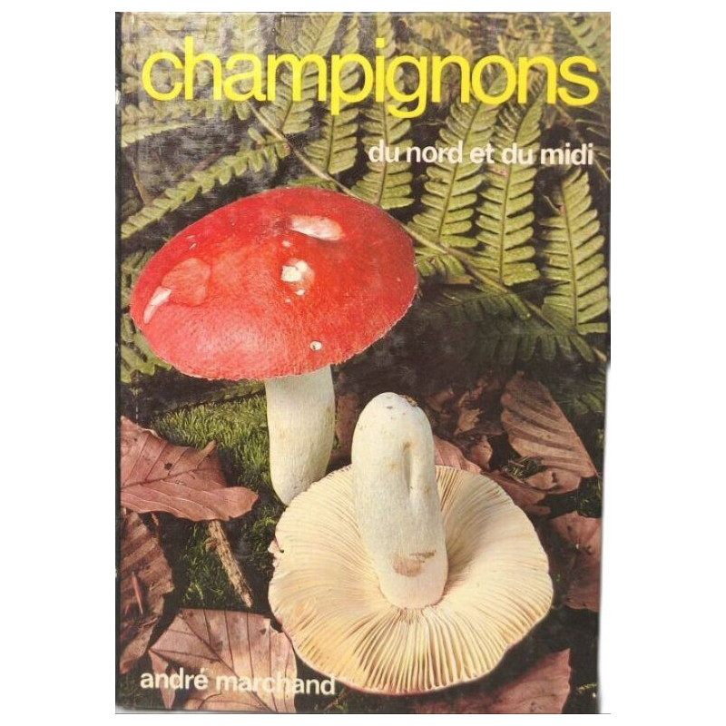 Champignons du nord et du midi tome 5 Les russules
