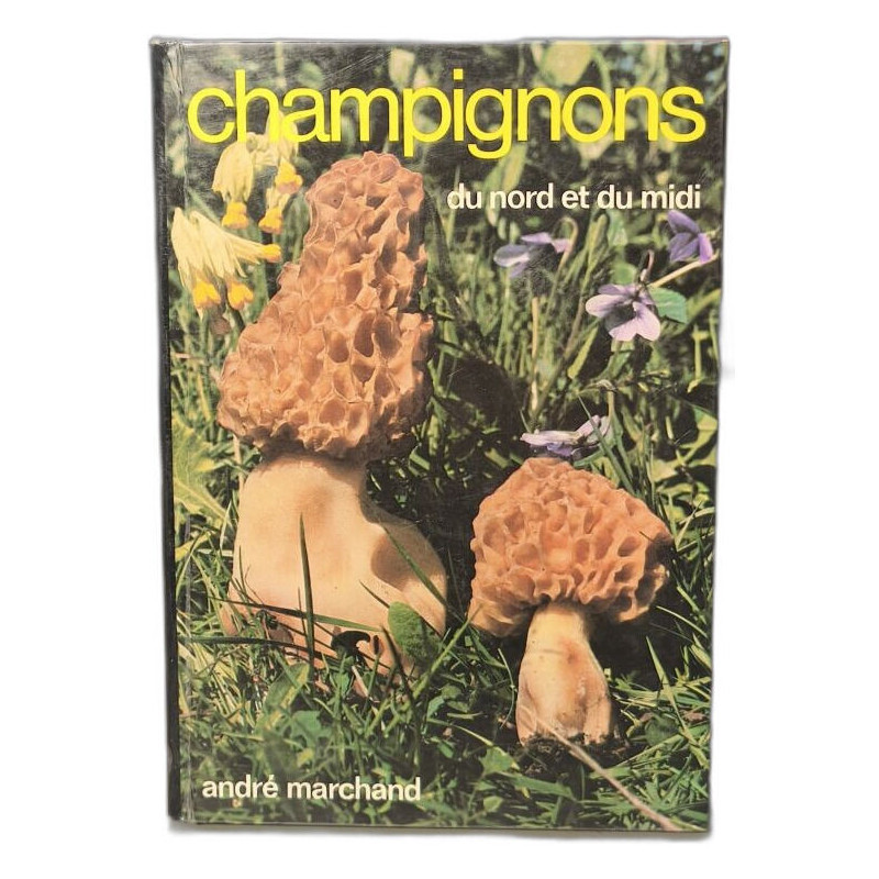 Champignons du Nord et du Midi tome 2 Les meilleurs comestibles