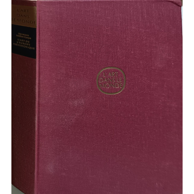 L'art dans le monde: L'art de l'Europe préhistorique
