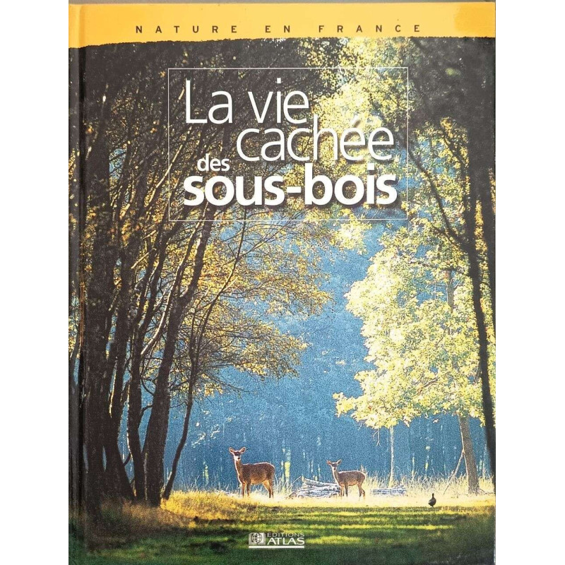La vie cachée des sous-bois