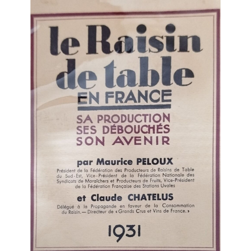 Le Raisin de table en France : sa production ses débouchés son avenir