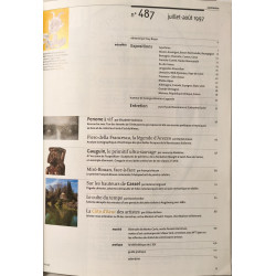 L'Œil n° 487 / la cote d'azur des peintres